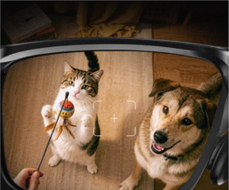 Concept view through C100 framing cats and dogs for first-person capture